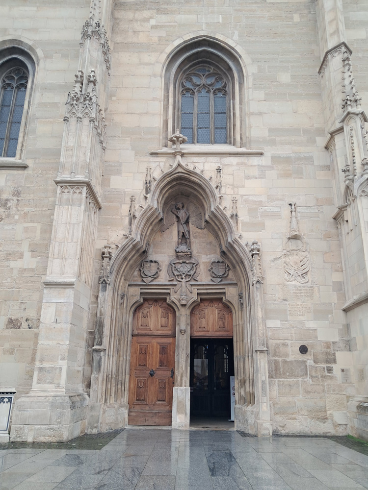 ¿Es un dragón o una tortuga?